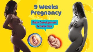 9 Weeks Pregnancy Symptoms  Baby Development  Baby Growth  Baby Size [upl. by Repohtsirhc979]