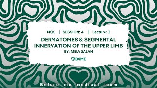 MSK S4  Dermatomes amp Segmental Innervation Of The Upper Limb [upl. by Dhruv330]