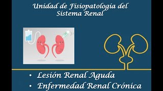 Lesión Renal AgudaEnfermedad Renal Crónica [upl. by Erdnoed347]