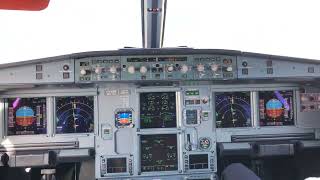 Cockpit View  Landing at Göteborg Landvetter AirPort GOT Airbus 319 [upl. by Erika]