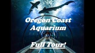 Oregon Coast Aquarium Full Tour [upl. by Nesilla]