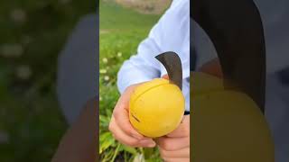 🟡😱Pepino Melon Pear yummy fruit fruitcutting satisfying awesome shorts fyp viralvideo wow [upl. by Drofdeb]