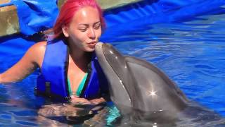 Puerto Vallarta Dolphin Adventure with Harley Tonelli and Vallarta Adventures [upl. by Cottle]