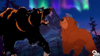 Kenai vs Bear Balto [upl. by Engenia554]