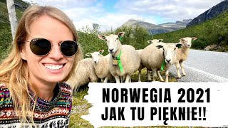 JAK TU PIĘKNIE NORWEGIA 2021 💚 Co warto zobaczyć w trzy dni Podróż na własną rękę [upl. by Hildie]