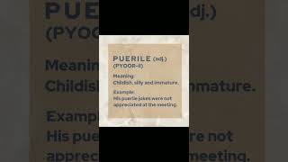 shorts vocabulary  PUERILE [upl. by Seditsira562]