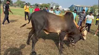 Bantya vs ￼ Lakshay win lakshay [upl. by Liman255]