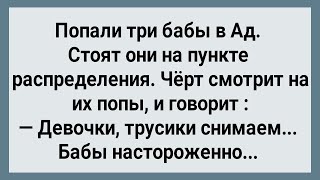 Как Три Бабы в Ад Попали Сборник Свежих Анекдотов Юмор [upl. by Eatnohs]