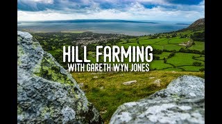 Hill Farming Sheep with Gareth Wyn Jones in Wales [upl. by Mw]