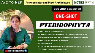 Characteristics Morphology and Reproduction of Pteridophyta  OneShot  BSC Science [upl. by Hindorff]