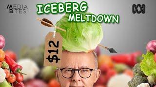 Iceberg Meltdown I Media Bites [upl. by Eidurt450]