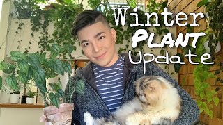 Winter Plant Update amp Tour ❄️🌿 [upl. by Oxley880]