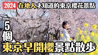 東京櫻花2024🌸 5個東京早開櫻寶藏地 以後染井吉野櫻晚開也不怕沒有地方去｜汐入公園陽光櫻 上野公園枝垂櫻 新宿御苑早開櫻 東鄉寺枝垂櫻 蘆花恆春園高遠小彼岸櫻｜日本賞櫻 4K VLOG [upl. by Eanaj]