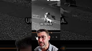 Olha Quanta Informação Em Um Vídeo Só pets cachorro adestramento mestredog [upl. by Giarla]