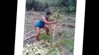 Funny Samoan Dance PlantTaroChallenge [upl. by Ym62]