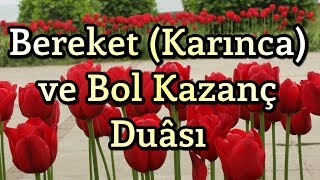 Bereket Duası  Karınca Duası  Bol Rızık Duası  Amin [upl. by Novelc339]