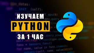 🔥 Изучаем Python за 1 час  Bro Proger [upl. by Dinah]