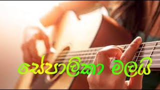 Sepalika Malayi How to Play with chords in Guitar  Sinhala [upl. by Liu]