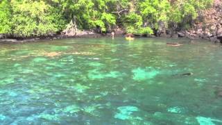 Snorkel Cruise to Kealekakua Bay on the quotFair Wind IIquot from Keauhou Bay on Hawaiis Big Island [upl. by Candie]