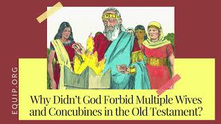 Why Didnt God Forbid Polygamy and Concubines in the Old Testament [upl. by Atikaj]