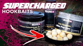 These Hookbaits Are A GAMECHANGER 💪 🔥 Carp Fishing Winter Top Tips [upl. by Fanya]