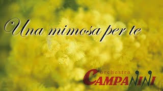 Una mimosa per te  Orchestra Campanini  Pietro Brunetto [upl. by Aziaf]