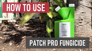 How to Use Patch Pro Fungicide [upl. by Lunetta]