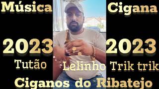 MÚSICA CIGANA 2023 CIGANOS DO RIBATEJO  TUTÃO E LELINHO TRIK TRIK [upl. by Claudy]