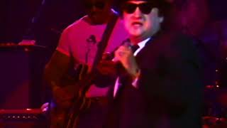 The Blues Brothers  Shotgun Blues  12311978  Winterland [upl. by Eisor]