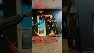 Single Arm DB Row Deficit [upl. by Eillim]