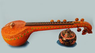 Learn To Play Veena  Basic Lessons for Beginners  Veena Basic Exercises by EGaayatri [upl. by Hoffmann]