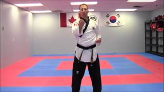 FUNdamental Taekwondo Blocks [upl. by Charbonnier]