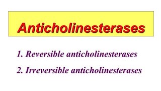 Reversible and Irreversible Anticholinesterase  Definition and Examples [upl. by Seely967]