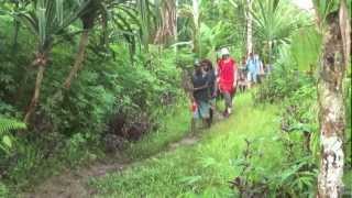 Wochenende im Urwald von Papua Neuguinea [upl. by Anael]