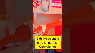 Sida looga saarl intravenous cannulation bukanka xididkiisa step by step cannula ivcannula school [upl. by Joye]