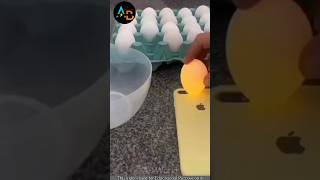 🤯 അവസാനം വരെ നോക്കൂ 💥😱😲  How to find spoiled eggs  shorts facts shortsfeed [upl. by Norehc]