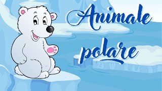 Animale polare 🐻‍❄️🐧🦭🦌cunoașterea mediuluianimale [upl. by Rozanna]