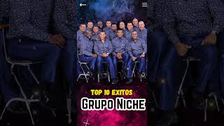 La Magia De Tus Besos  Grupo Niche Mix📀Éxitos Del Grupo Niche SalsaPower gruponiche [upl. by Hteboj459]