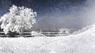 3 Hours Snowstorm Sounds  Ambient Blizzard Howling Wind Soundscape [upl. by Amil]