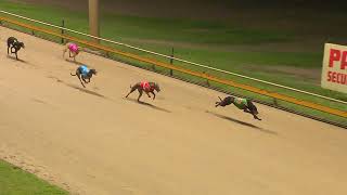 Rockhampton06112024Race9 [upl. by Haye]