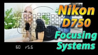 Nikon D750 Tutorial Training  Focusing Systems  How to [upl. by Darelle]