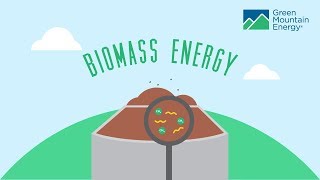 Renewable Energy 101 How Does Biomass Energy Work [upl. by Nylicaj949]