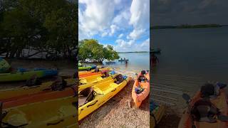 Exploring Biscayne Paddle Adventures in the National Park [upl. by Teerell]