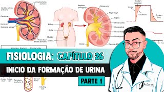 Fisiologia  Sistema Urinário Anatomia Funcional e Formação da Urina pelo Rim Capítulo 26 GUYTON [upl. by Primaveria]