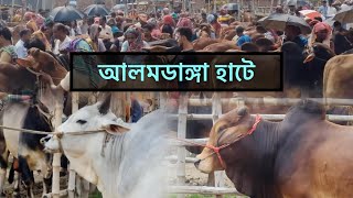 চুয়াডাঙ্গার আলমডাঙ্গা হাটে। Day 1 Part 1 [upl. by Bowne]