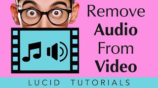 How to Remove Audio from Video on Mac Using QuickTime Player 2024 [upl. by Culhert562]