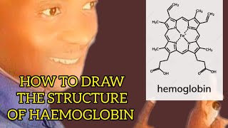 How to easily draw the structure of Haemoglobin [upl. by Cozmo]