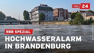 Brandenburg erwartet Hochwasser und steigende Pegel  rbb24 Spezial [upl. by Anihpled]