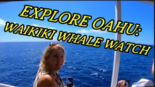 Explore Oahu Waikiki Whale Watch [upl. by Neiman]