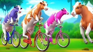 3 Giant Color Cows Race to Victory in a Funny Cycle Challenge Funny Cow Cartoon Videos [upl. by Cinimmod]